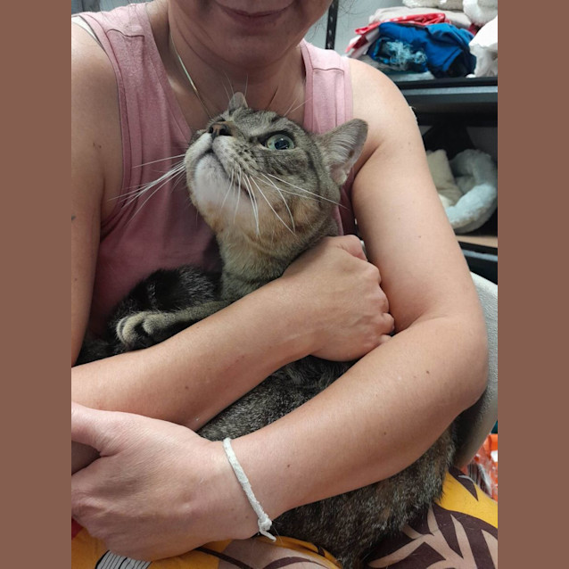 Photo of Ravioli (Ravi)