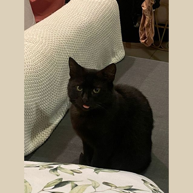 Photo of Spooky