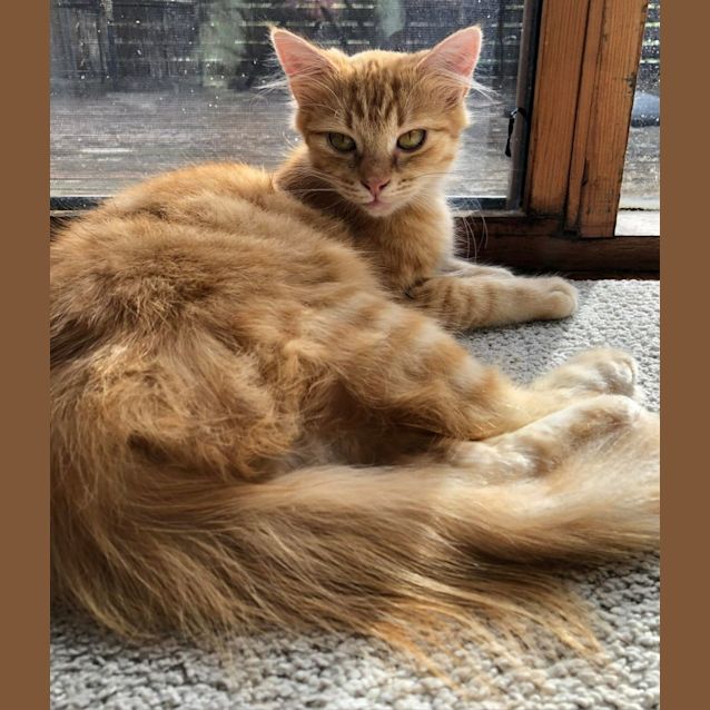Photo of Mimi