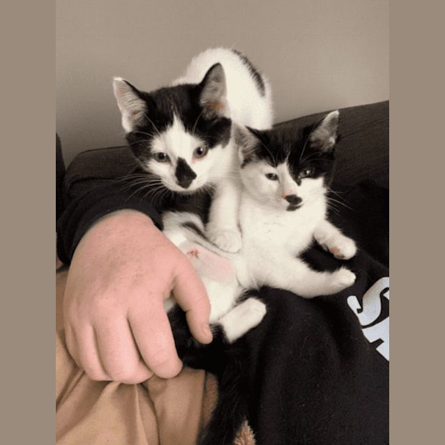 Photo of Hannah & Andrew