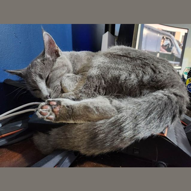 Photo of Charlie & Suzie