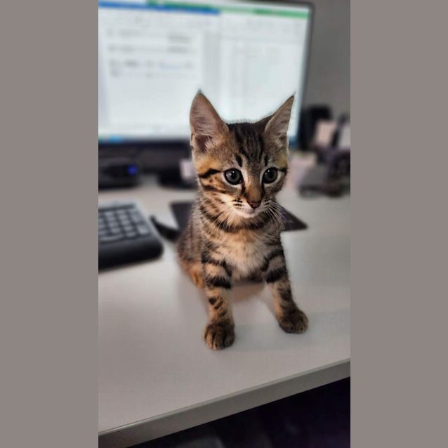 Photo of Leni (Ollie)