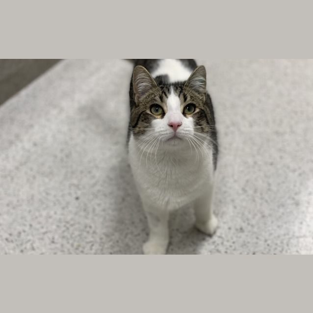 Photo of Munchkin