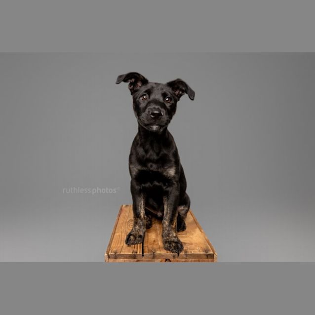 Photo of Dare