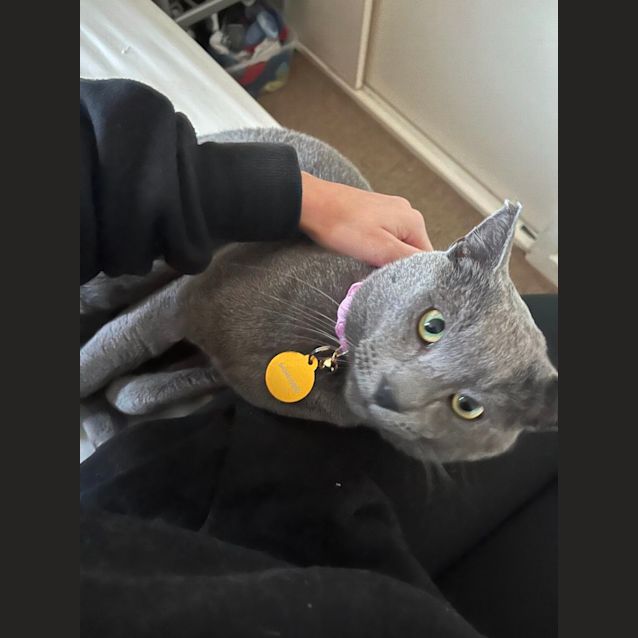 Photo of Ollie