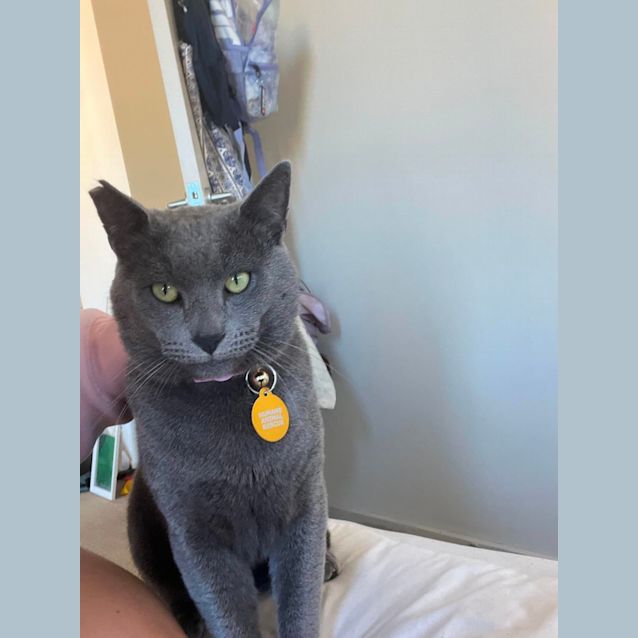 Photo of Ollie