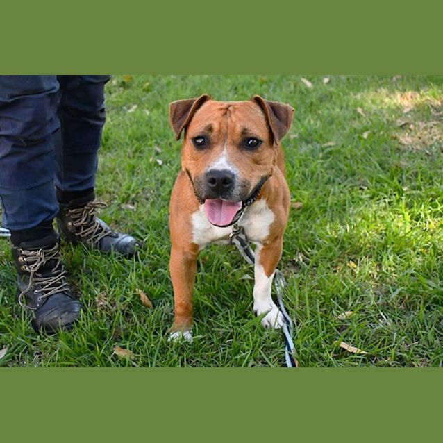 Photo of Missy 35200