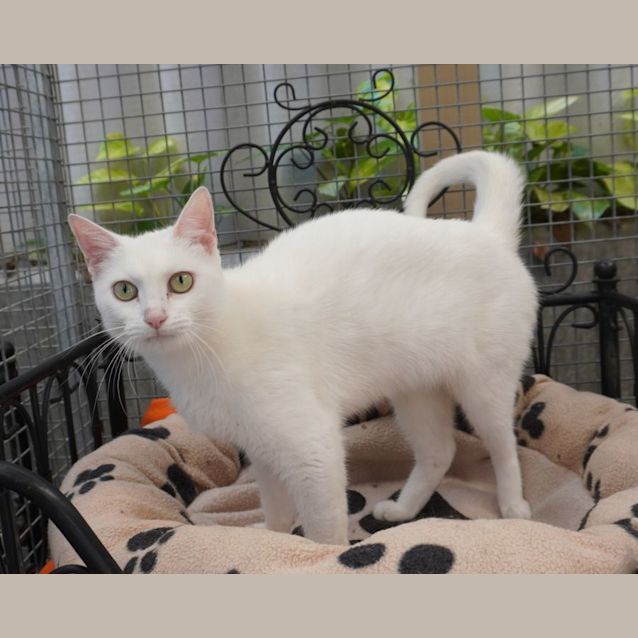 Photo of Charm