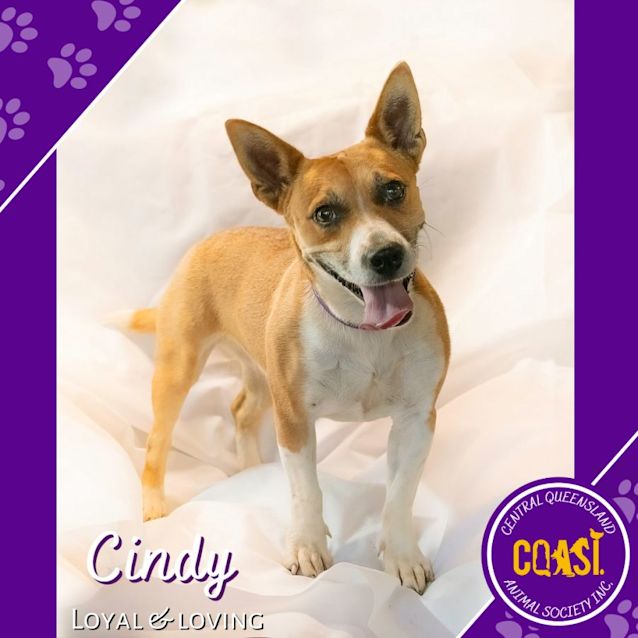 Photo of Cindy