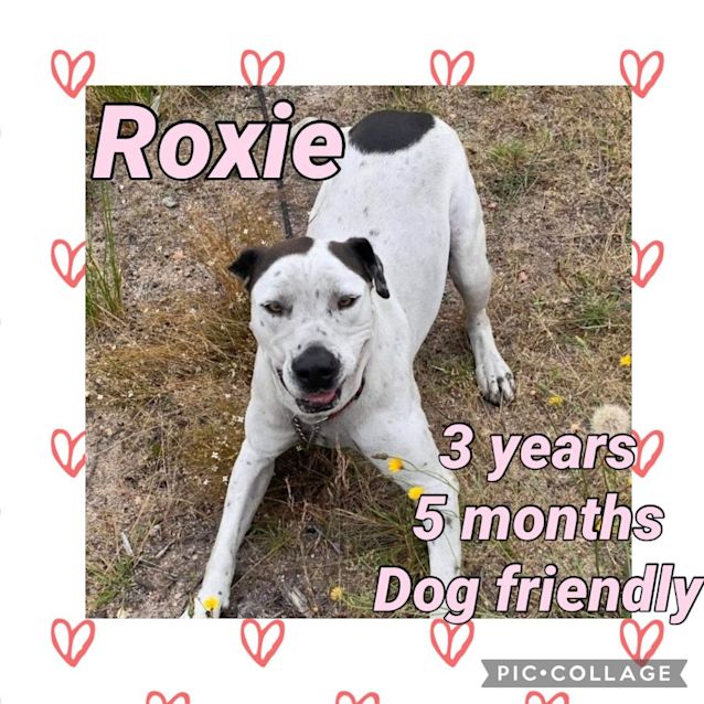 Photo of Roxie