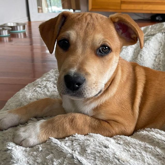 Photo of Tequila