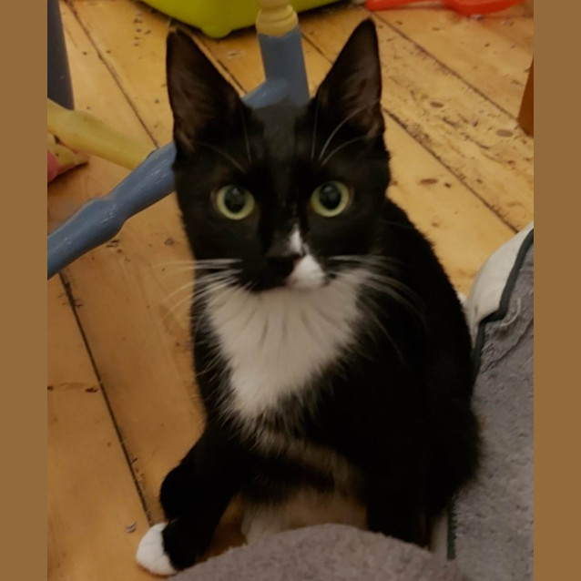 Photo of Peri Peri