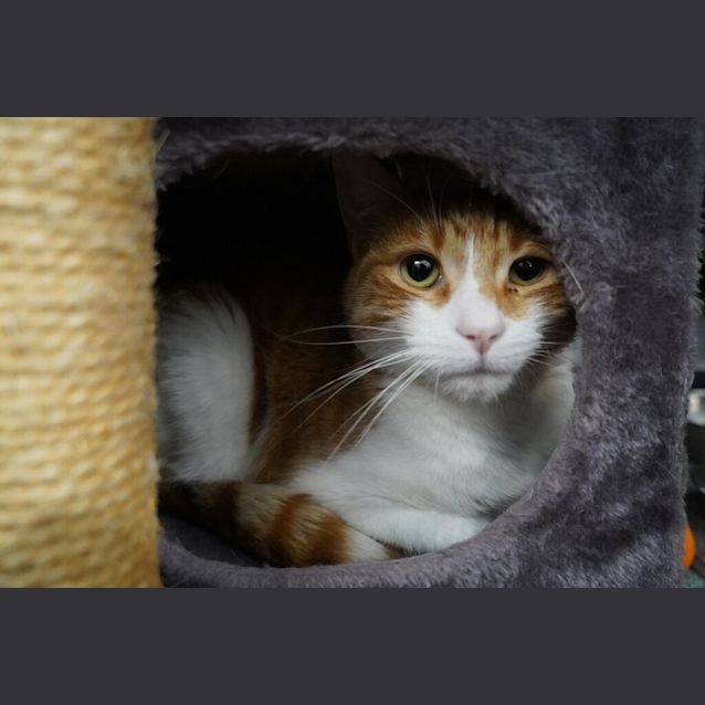Photo of Ted