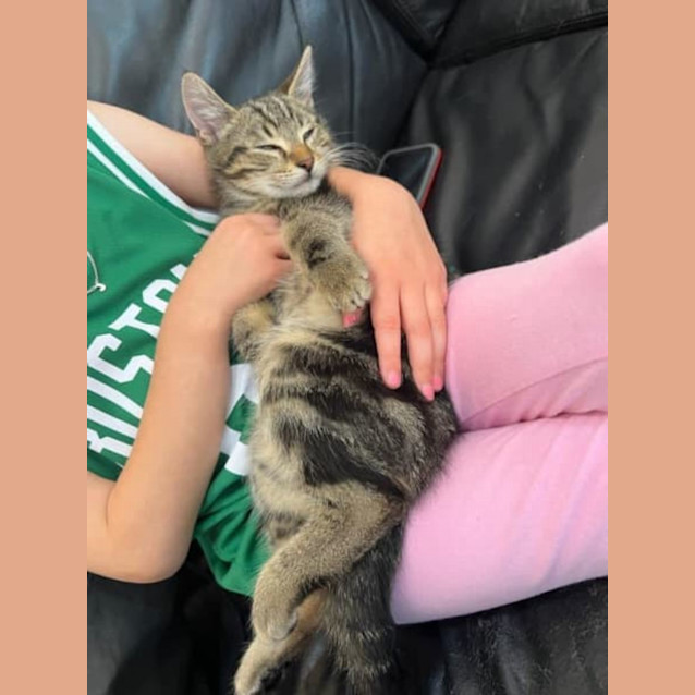 Photo of Remarkable Rooney