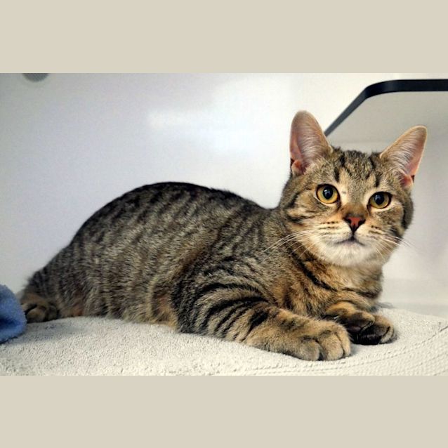 Photo of Colin Suk011344