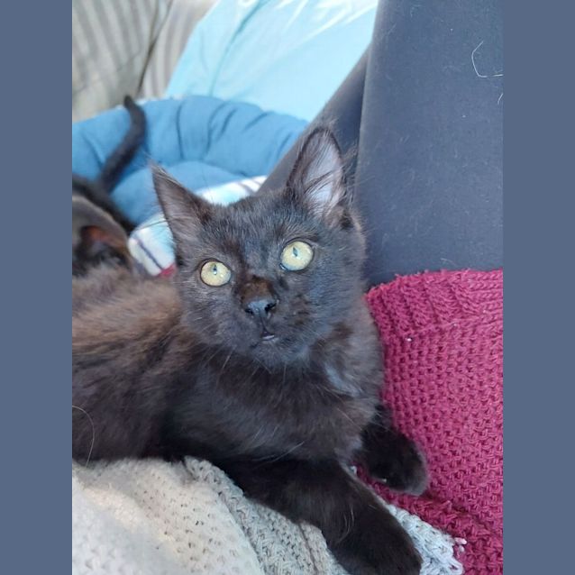 Photo of Teddy
