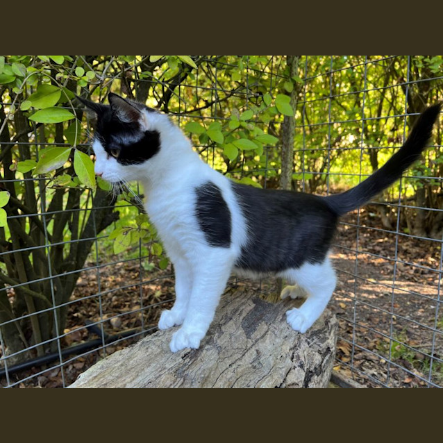 Photo of Kiwi Overton