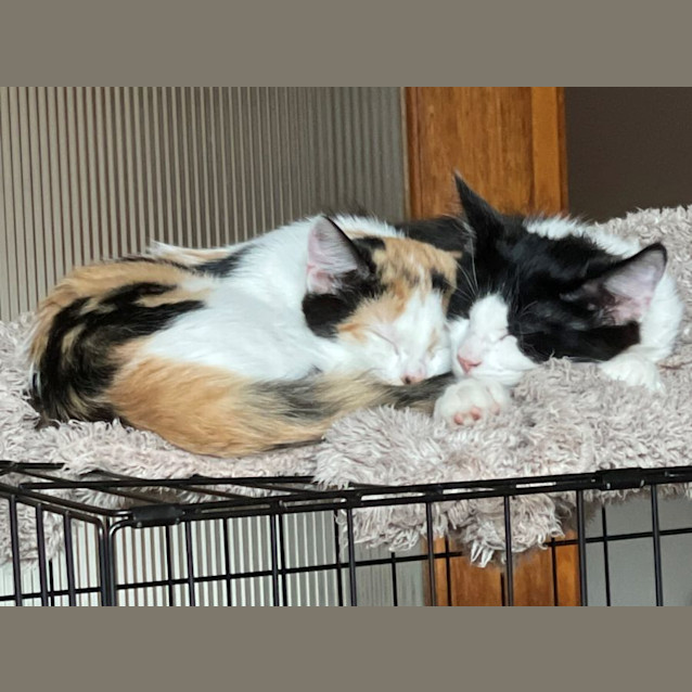 Photo of Cherry Overton