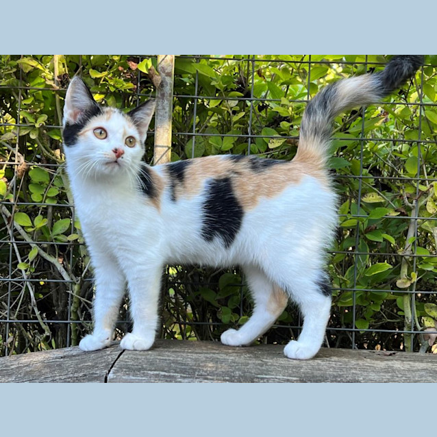 Photo of Cherry Overton