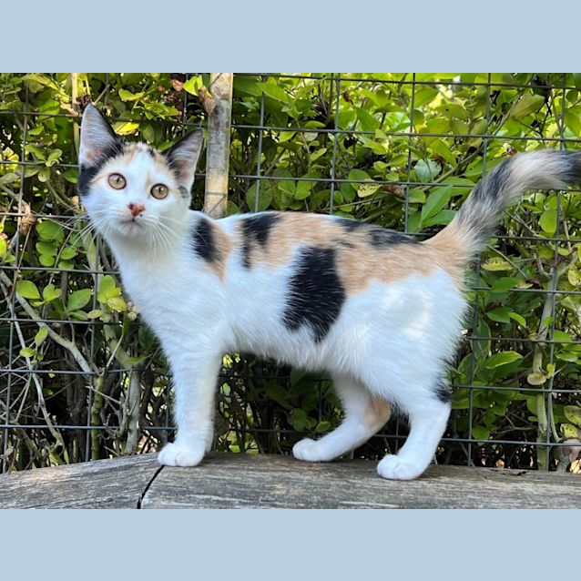 Photo of Cherry Overton