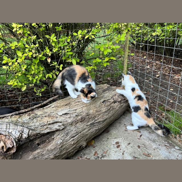 Photo of Cherry Overton