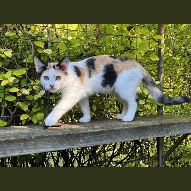 Photo of Cherry Overton