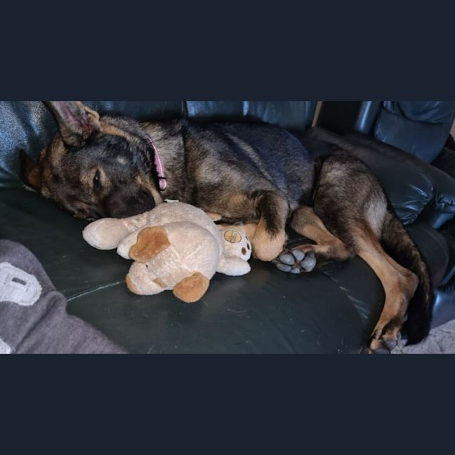 Photo of Jazz