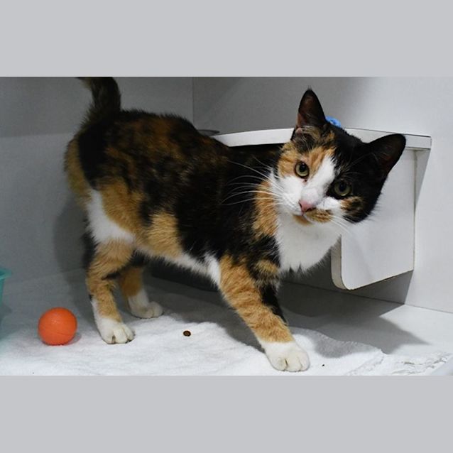 Photo of Narla 10866