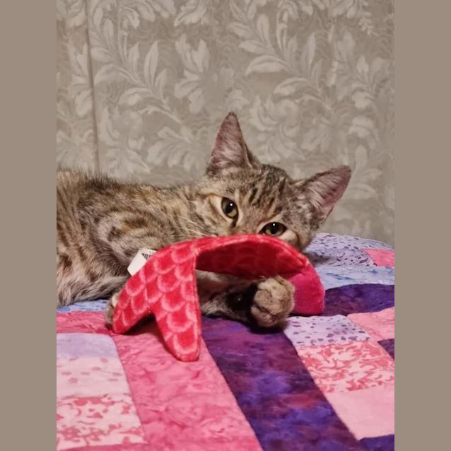 Photo of Zali 💗🐾