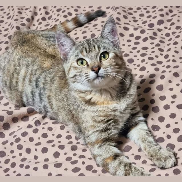 Photo of Zali 💗🐾