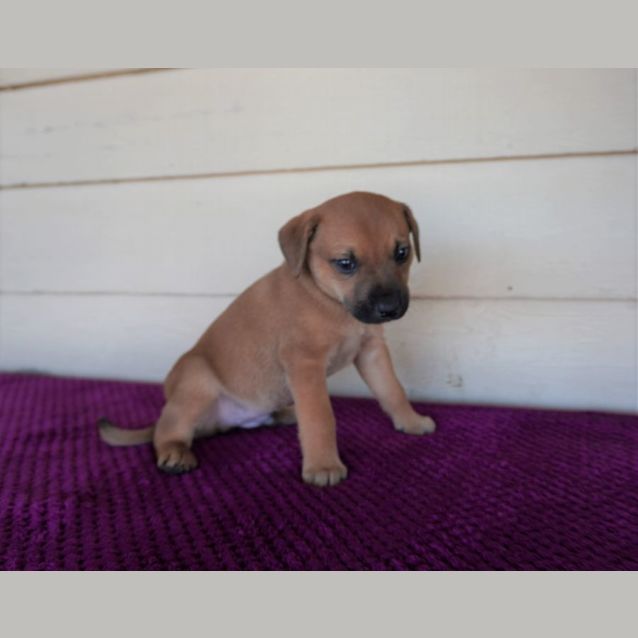 Photo of Bennie