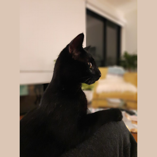 Photo of Moe