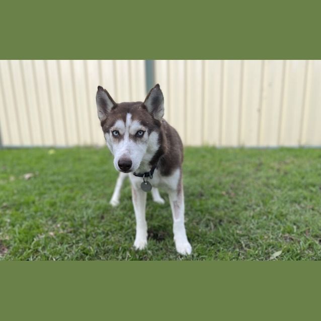 Photo of Shayla