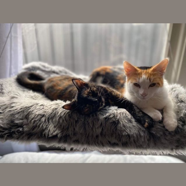 Photo of Bonnie & Delilah