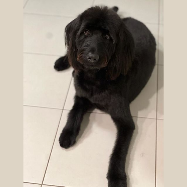 Photo of Tooty