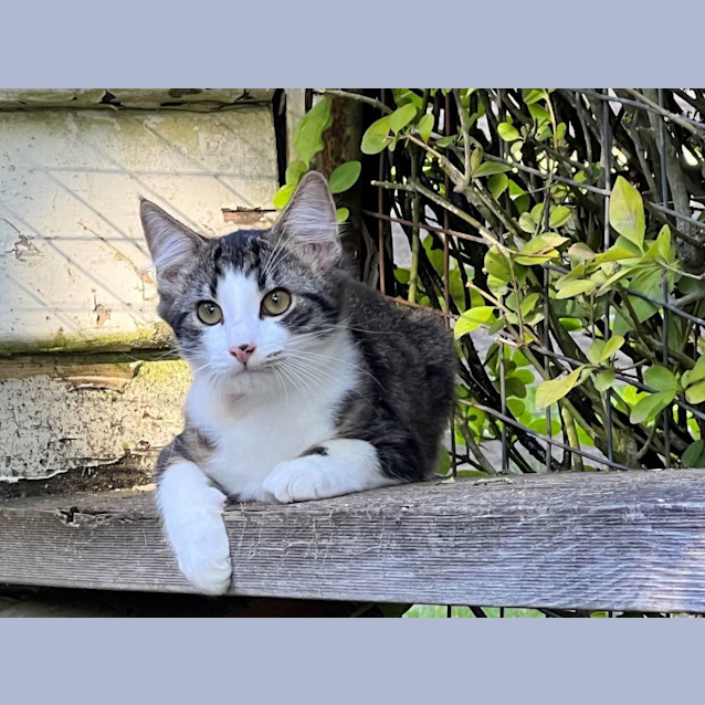 Photo of Plum Overton