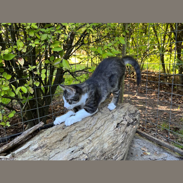 Photo of Plum Overton