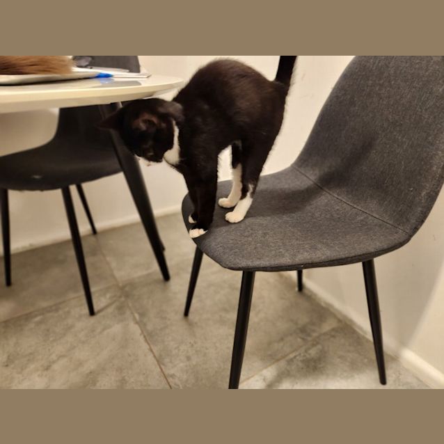 Photo of Billie Jean