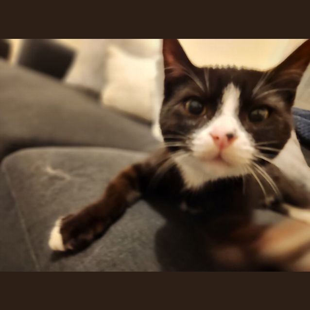 Photo of Billie Jean