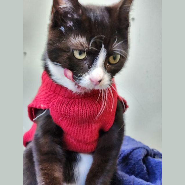 Photo of Billie Jean