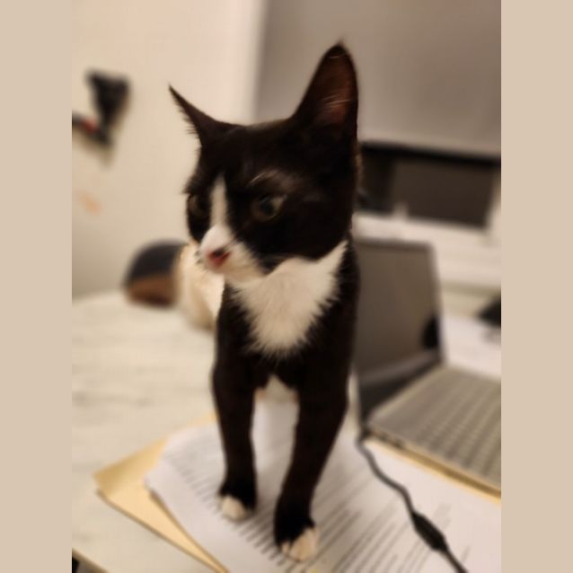 Photo of Billie Jean