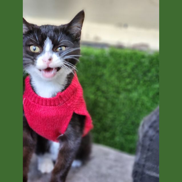 Photo of Billie Jean