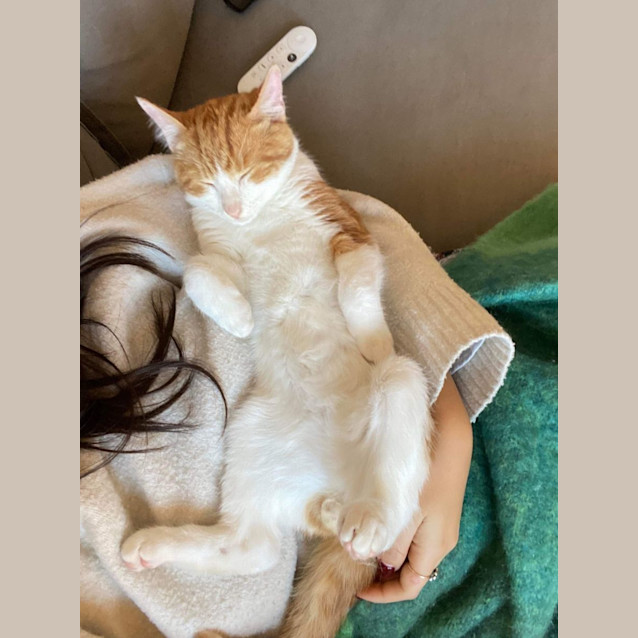 Photo of Duke Of Sussex