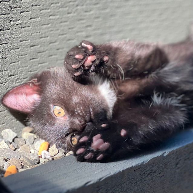 Photo of Hudson 🦭