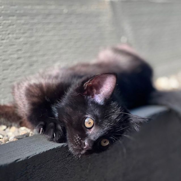 Photo of Hudson 🦭