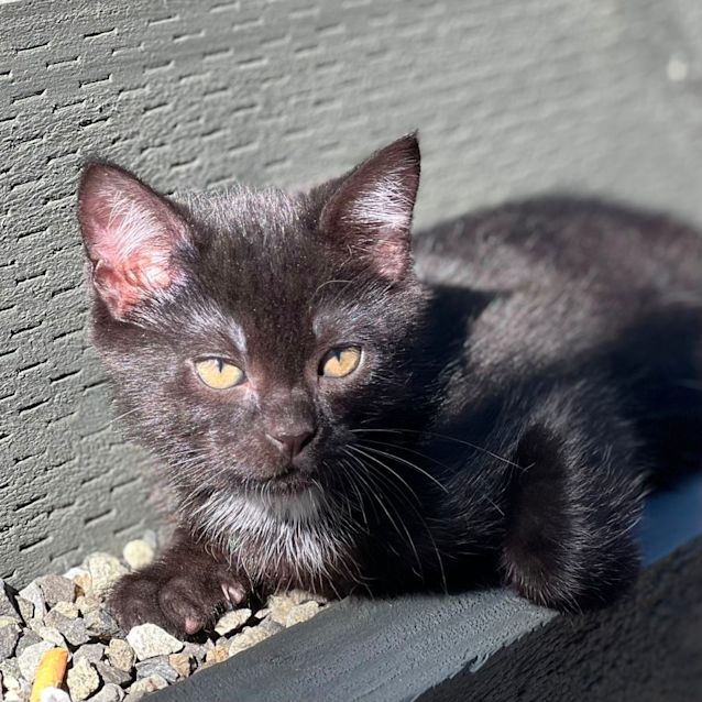 Photo of Hudson 🦭