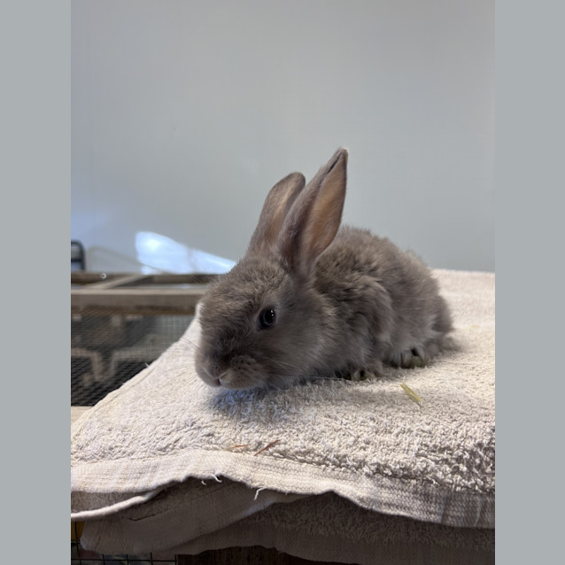 Photo of Chloe