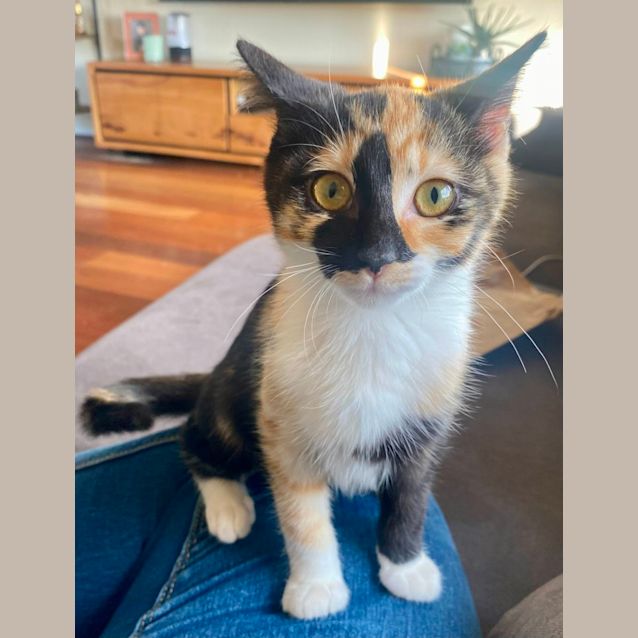 Photo of Samantha