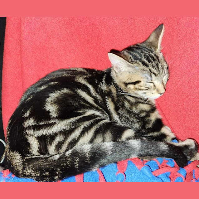 Photo of Evie