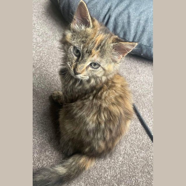 Photo of 🍒 Cherry